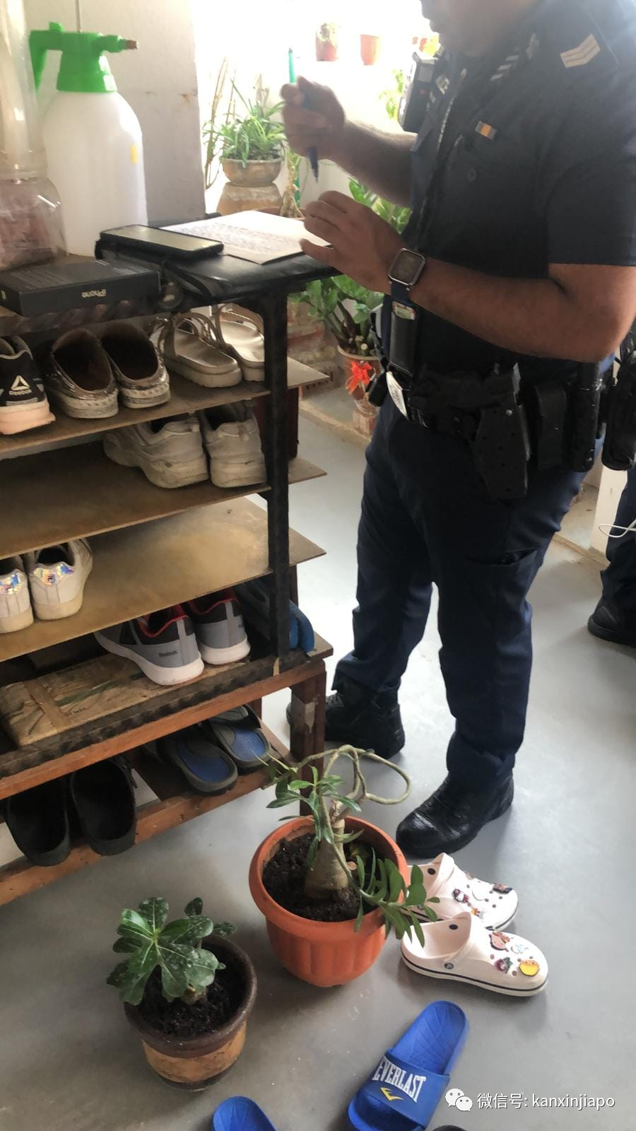 新加坡女子Lazada網購iPhone,打開包裹後真的驚呆了...