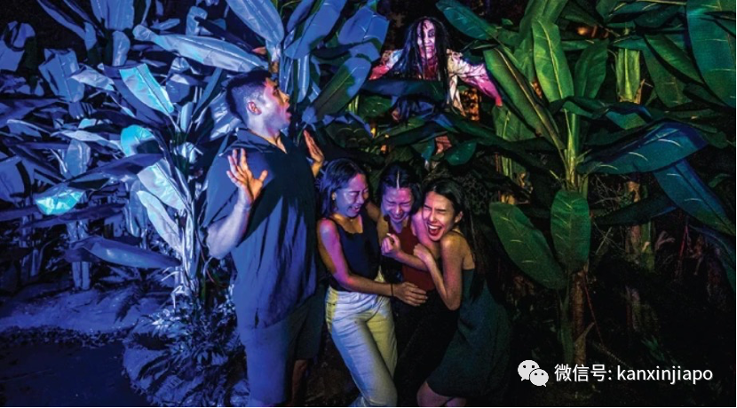 神反转！新加坡万圣节演员反遭游客惊吓、骚扰