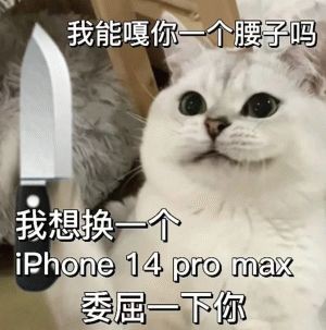 新加坡到處都在排隊!讀懂這些現象,你就讀懂了人性