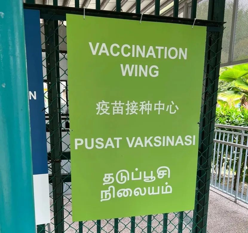 【獨家】在新加坡，“沒打疫苗的反而是重症最少的”