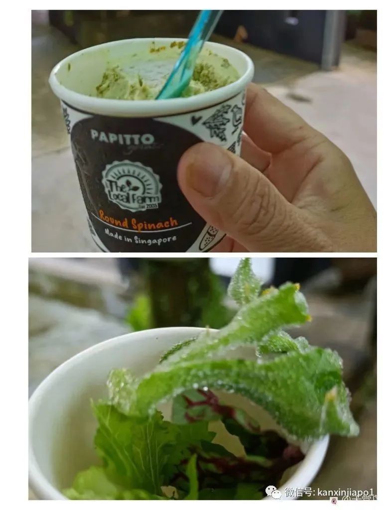 新加坡周末农场集市又来了，还尝到了菠菜冰淇淋