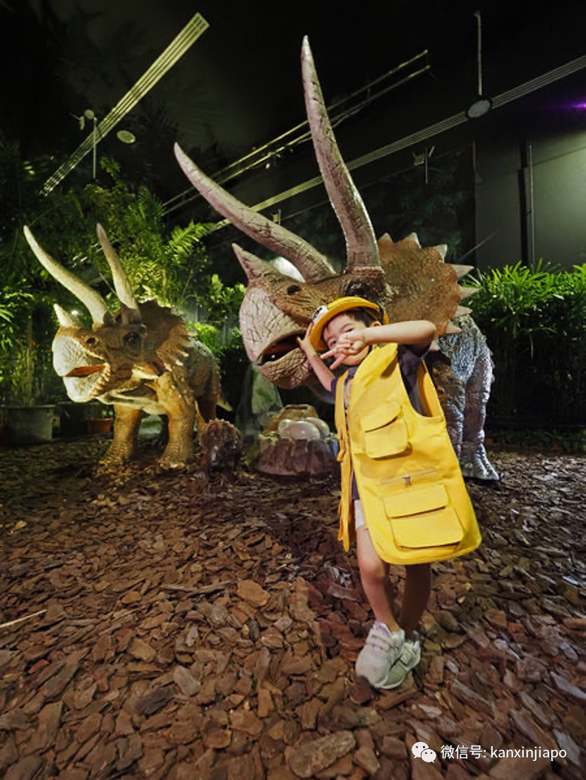 假期溜娃好去处！新加坡最大室内恐龙探险乐园在义顺开业！