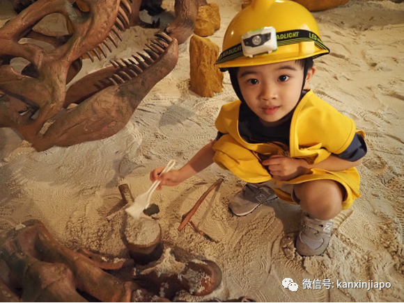 假期溜娃好去处！新加坡最大室内恐龙探险乐园在义顺开业！