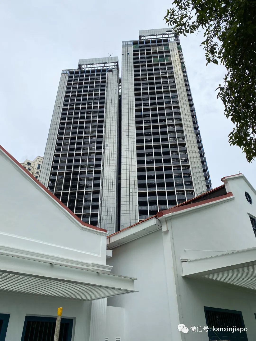 首次實景圖流出！新加坡熱門豪華公寓看繁華全城