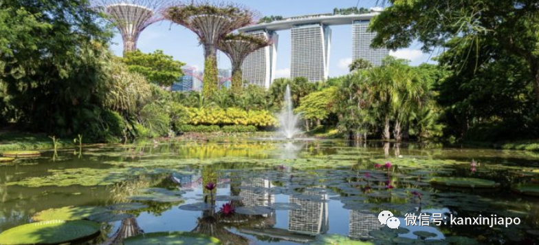 【下周活動】濱海灣花園免費導覽，冰雪奇緣新加坡限定場，還有燕麥拿鐵買一送一等你來哦~