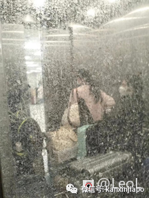 入境中國政策或再放寬,希望我是“末代隔離黨”