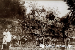 愛因斯坦曾兩次到訪新加坡，還參觀了新加坡首個動物園！
