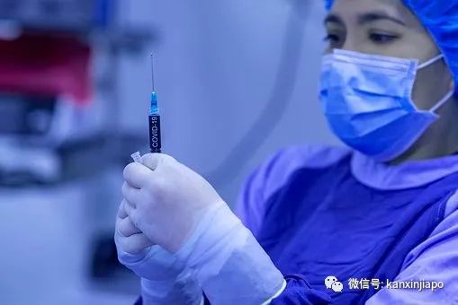 中国2月6日恢复出境游！世卫：感染新冠并接种疫苗，保护期长达一年