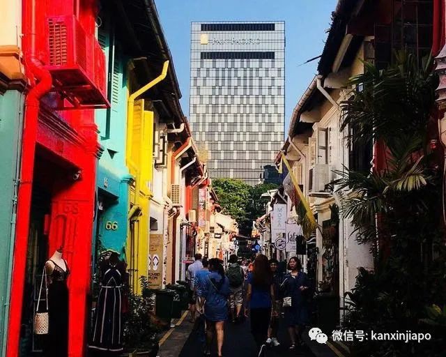 集郵式過夏：一份新加坡留學生活的不完全記錄