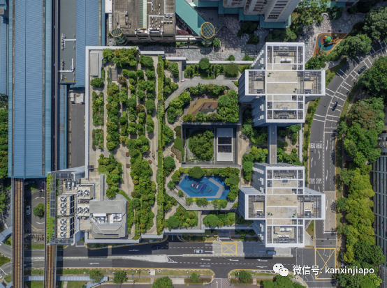 目之所及，都是“綠”！新加坡花園城市到底是怎麽建起來的
