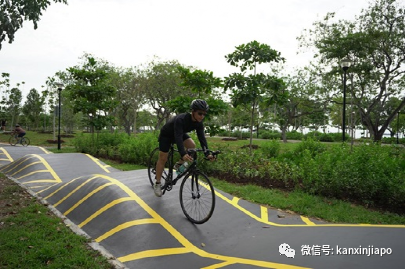 新加坡被评为亚洲最适合骑行的城市，凭什么？