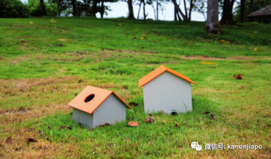 新加坡南島奇幻冒險,雙年展最後一月,“娜塔莎”帶你出行!