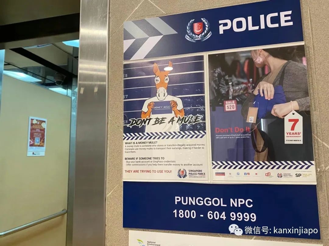 日薪500？帮忙申请PR？假冒移民局官员...在新加坡的中国人注意了，这些“坑”别跳