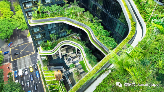 目之所及，都是“綠”！新加坡花園城市到底是怎麽建起來的