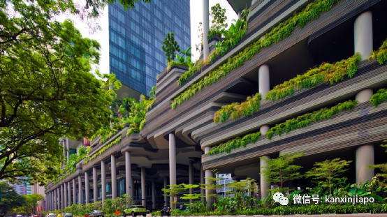 目之所及，都是“绿”！新加坡花园城市到底是怎么建起来的