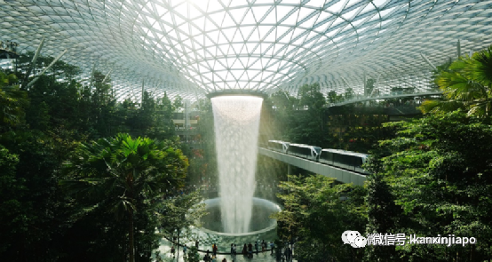 目之所及，都是“绿”！新加坡花园城市到底是怎么建起来的