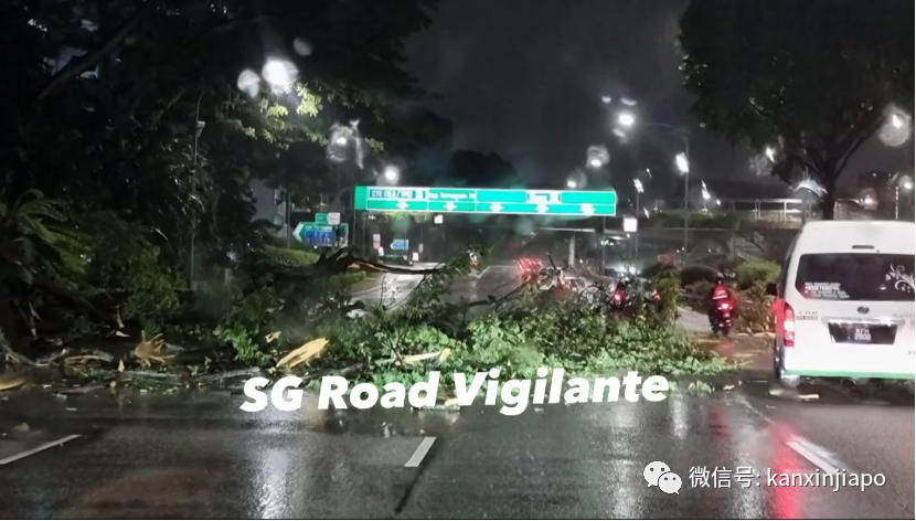 新加坡降雨超20小时！全岛事故频发，错把泳池当停车位...