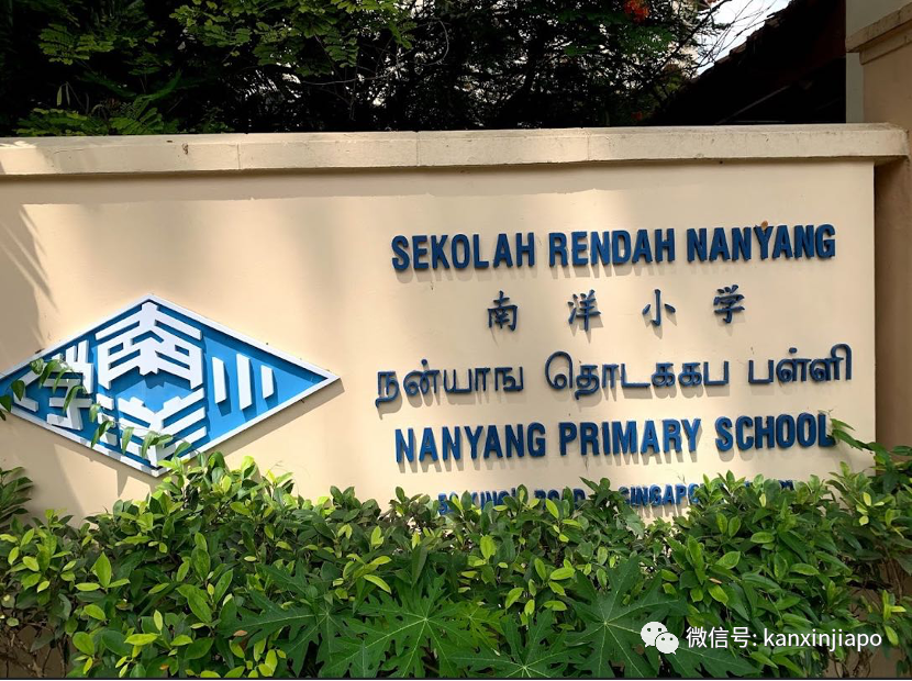 新加坡摘下口罩后，这些病症数量都增加了…