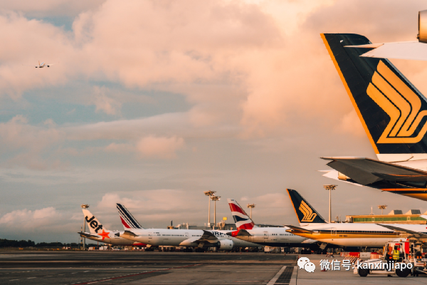 新中两国航班翻倍，已恢复至每周近100趟；新加坡航空业今年将100%复苏