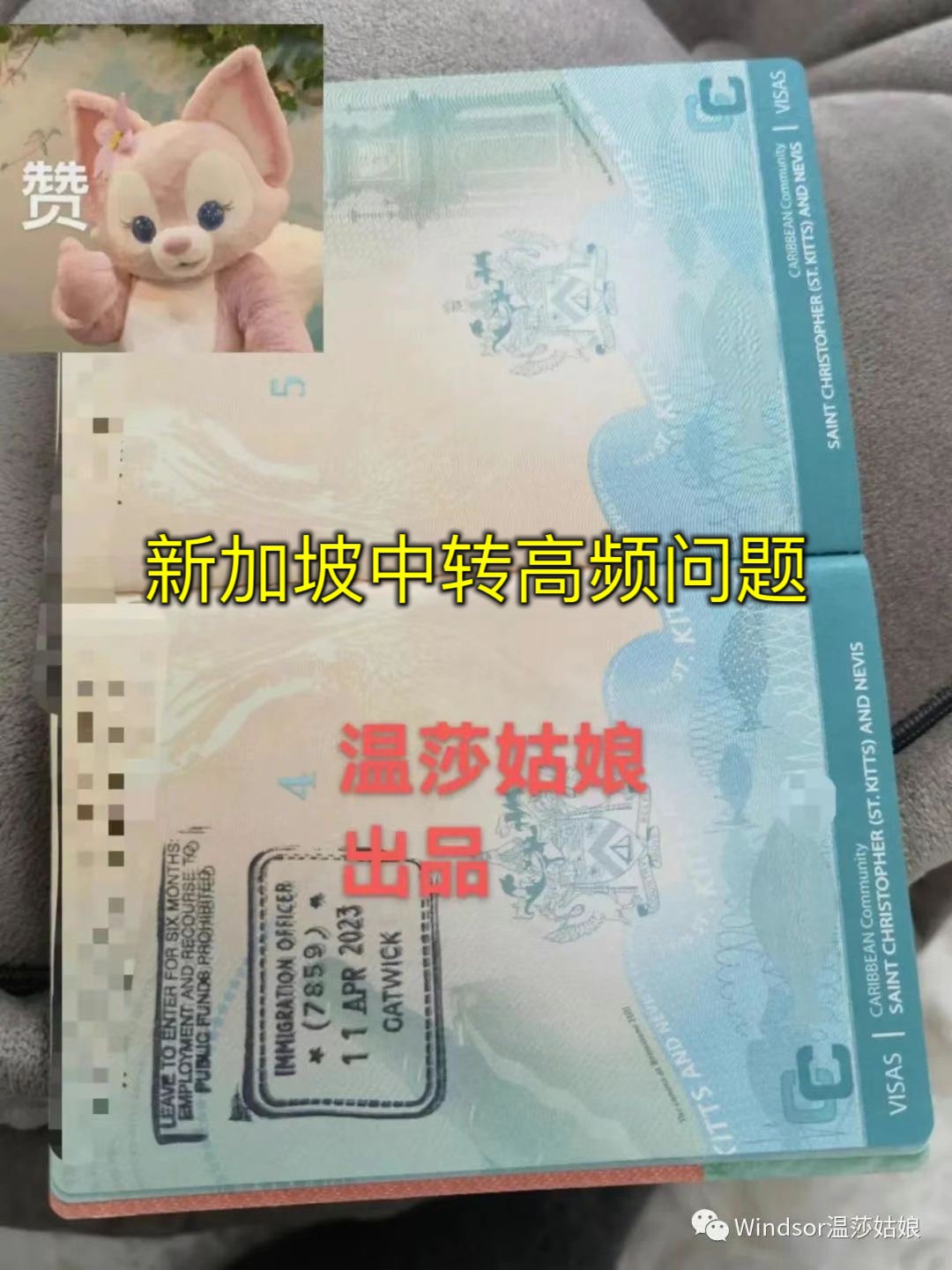 网友亲历!圣基茨护照如何在新加坡中转出行