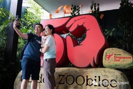 丛林早餐、义跑活动、充气游乐场...新加坡动物园50周年活动来了!
