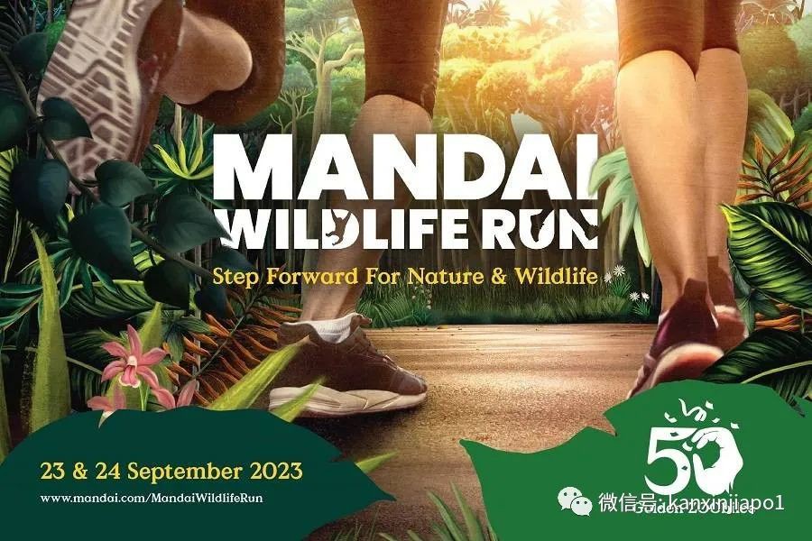 丛林早餐、义跑活动、充气游乐场...新加坡动物园50周年活动来了！