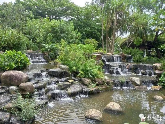 紅樹林、荷花池、水族缸...免費遊濱海灣花園可以看這麽多