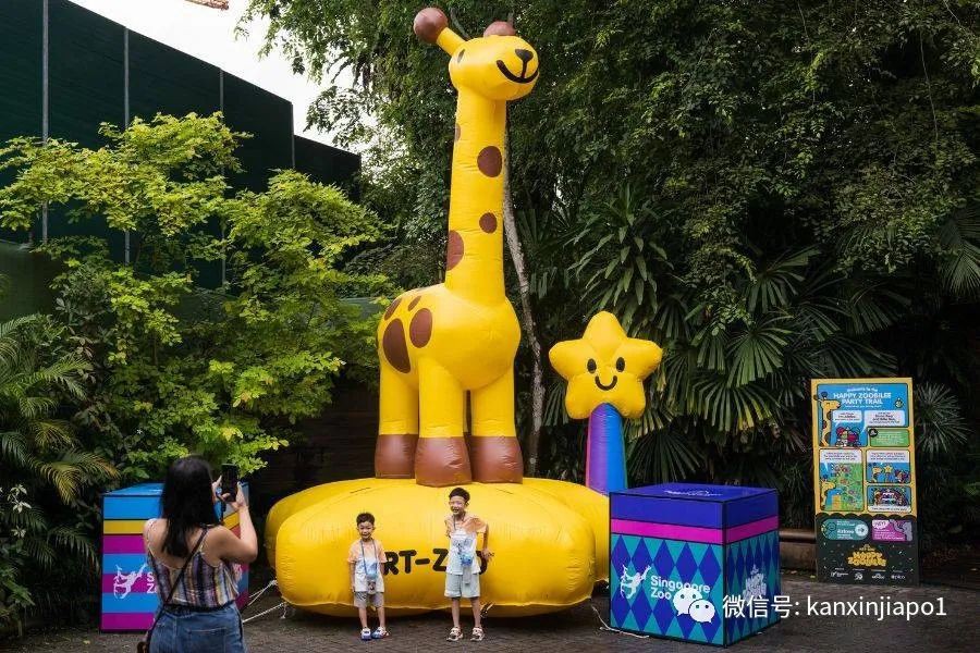丛林早餐、义跑活动、充气游乐场...新加坡动物园50周年活动来了!