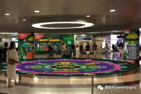 丛林早餐、义跑活动、充气游乐场...新加坡动物园50周年活动来了!