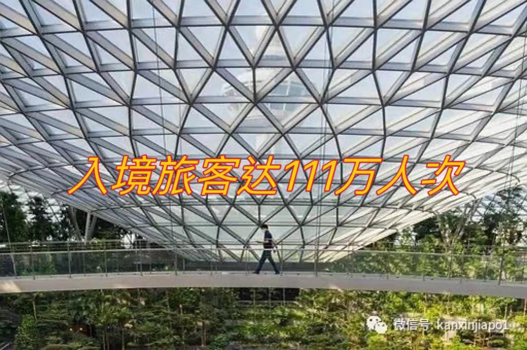 中国旅客入境新加坡人次5月达今年最高,成第四大来源国