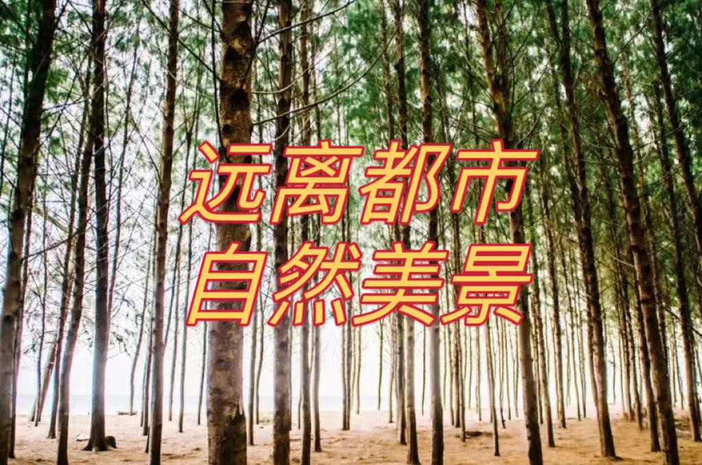 马来西亚八大度假圣地,雨林、牧场、海岛、古堡全都有