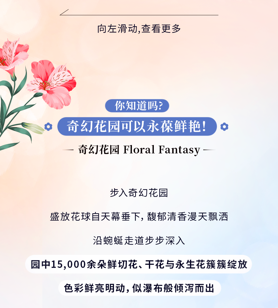 花穹、超级树、云雾林，滨海湾花园里有这么多秘密