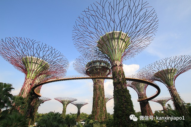 新加坡鱼尾狮现身中国，金沙酒店、超级树也被“模仿”！旅游局表态