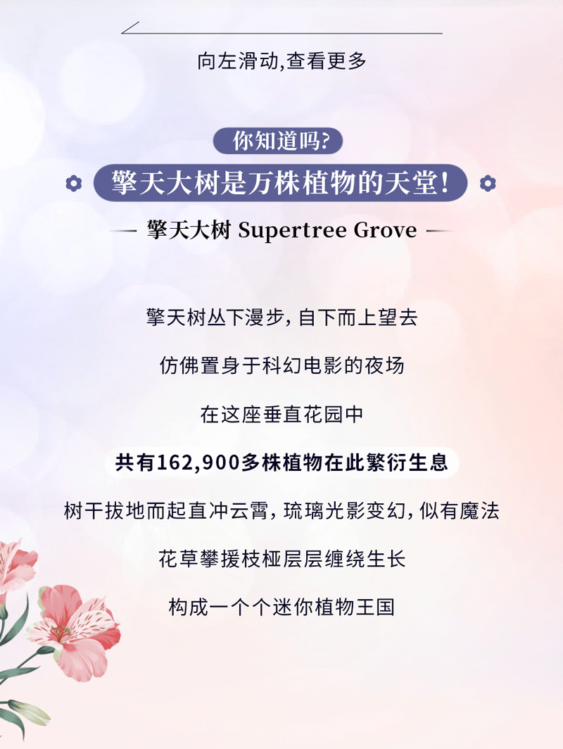 花穹、超级树、云雾林，滨海湾花园里有这么多秘密