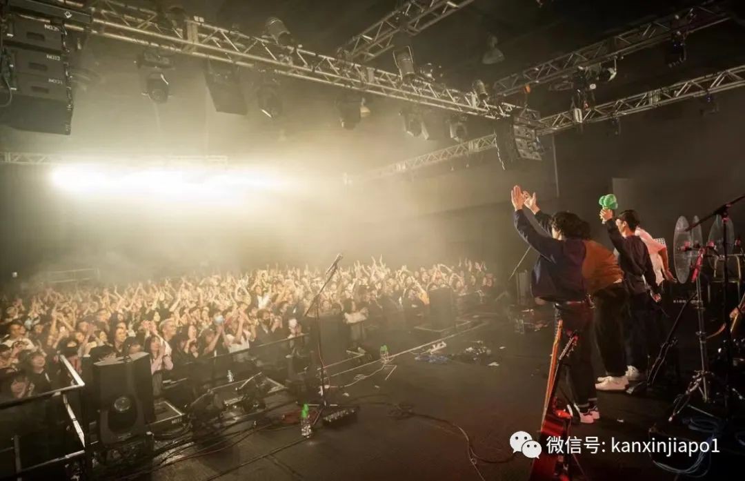 火遍《乐队的夏天》,民谣新秀椅子乐团终于来新加坡了!