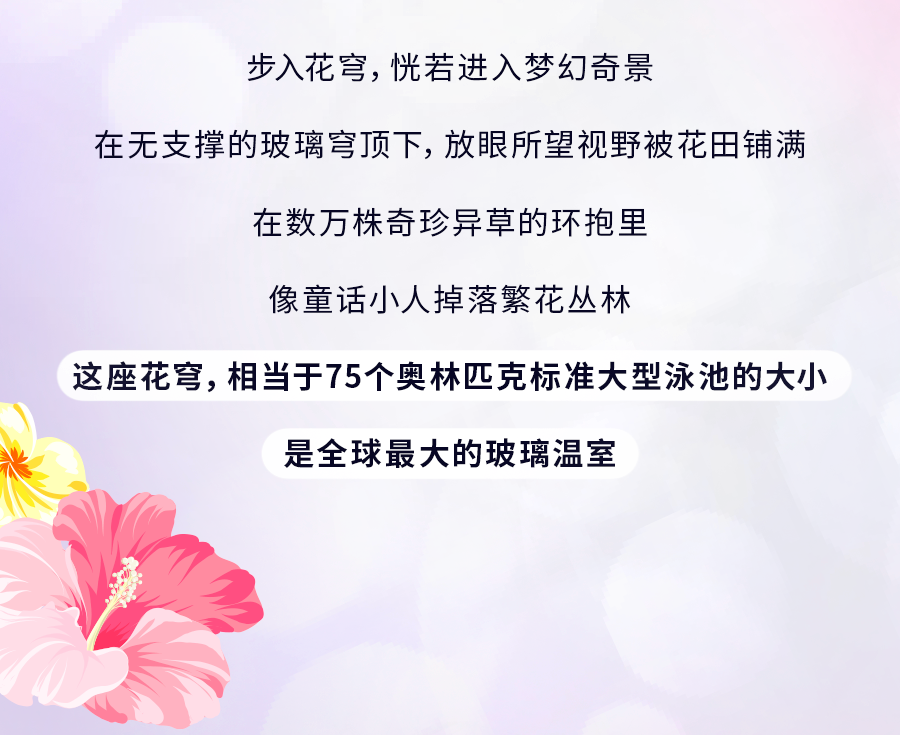 花穹、超级树、云雾林，滨海湾花园里有这么多秘密