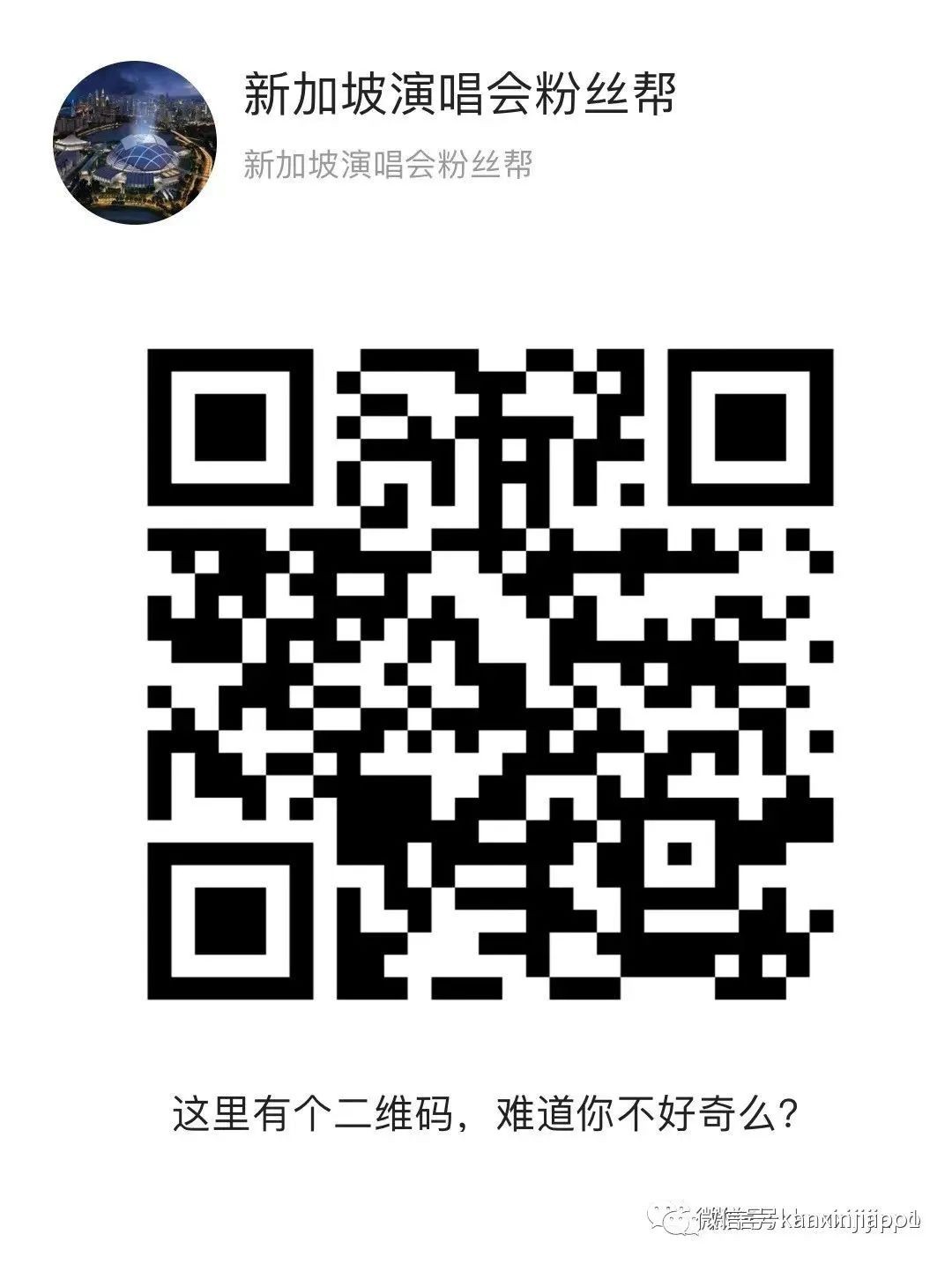 火遍《乐队的夏天》,民谣新秀椅子乐团终于来新加坡了!