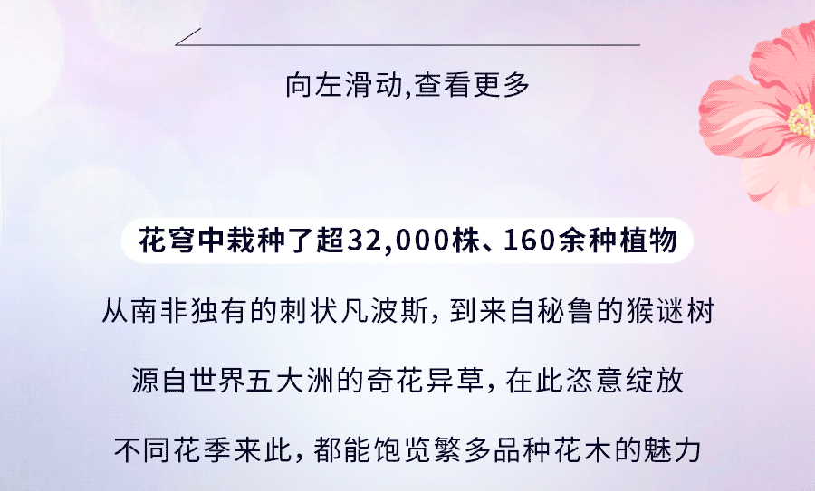 花穹、超级树、云雾林，滨海湾花园里有这么多秘密
