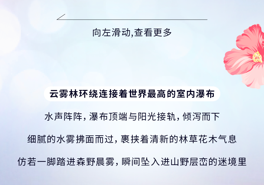 花穹、超级树、云雾林，滨海湾花园里有这么多秘密