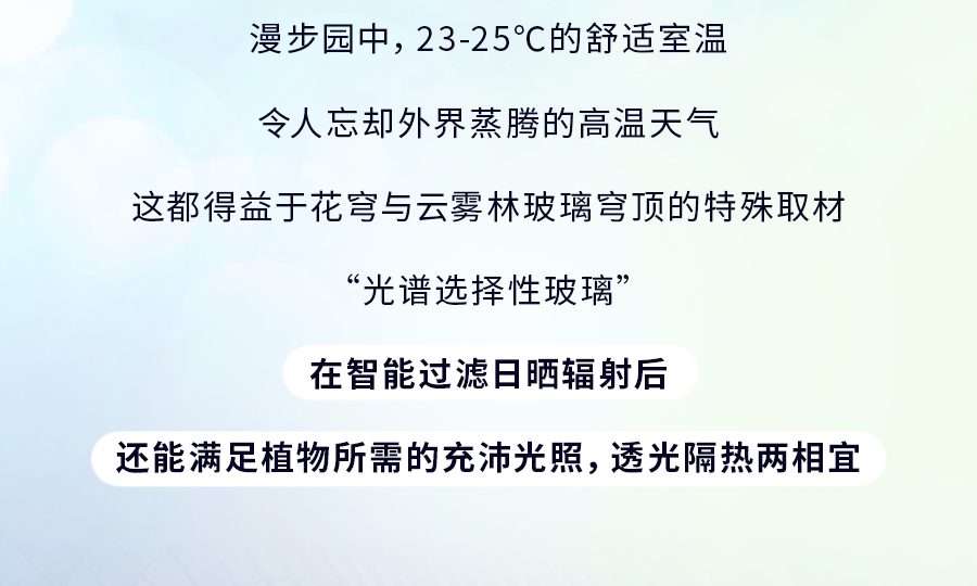 花穹、超级树、云雾林，滨海湾花园里有这么多秘密