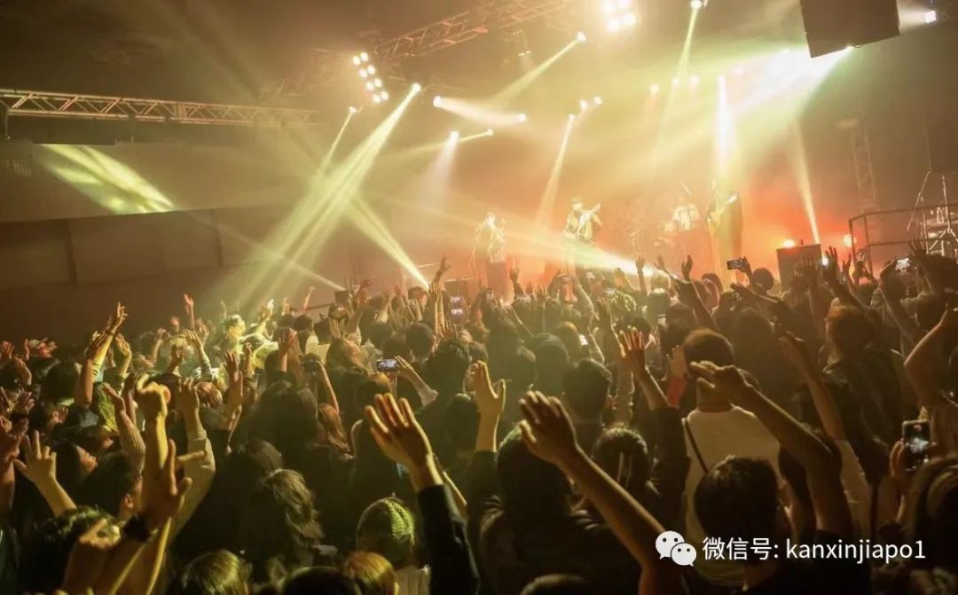 火遍《乐队的夏天》,民谣新秀椅子乐团终于来新加坡了!