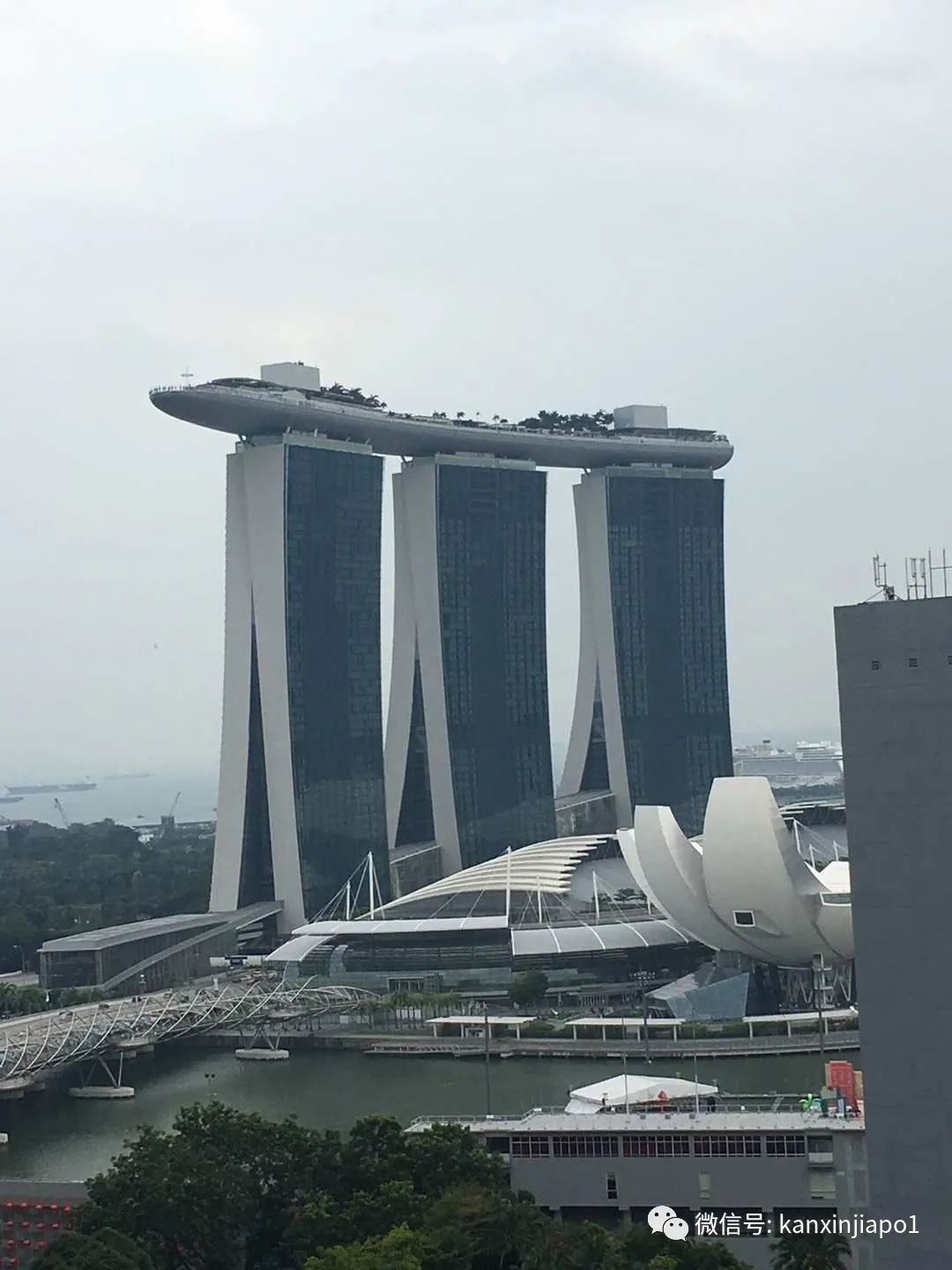 網友和妻子的新加坡蜜月遊：穿著羽絨服，差點被熱炸
