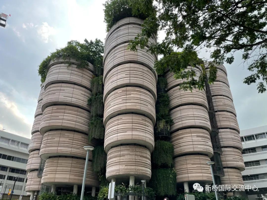 2024QS世界大學排名新加坡院校備受關注