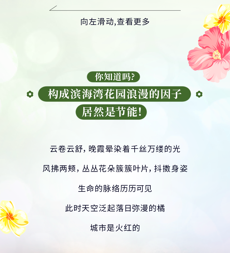 花穹、超级树、云雾林，滨海湾花园里有这么多秘密