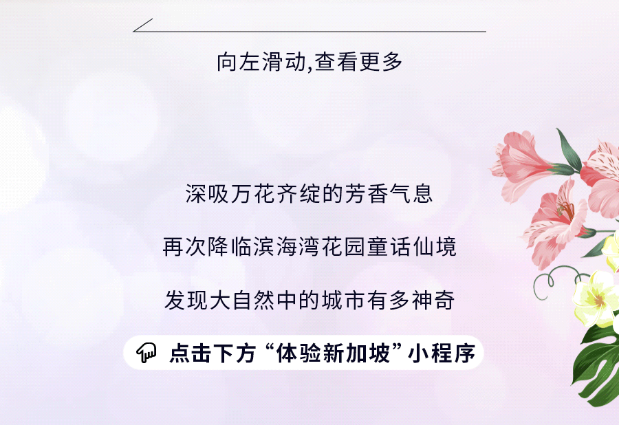 花穹、超级树、云雾林，滨海湾花园里有这么多秘密