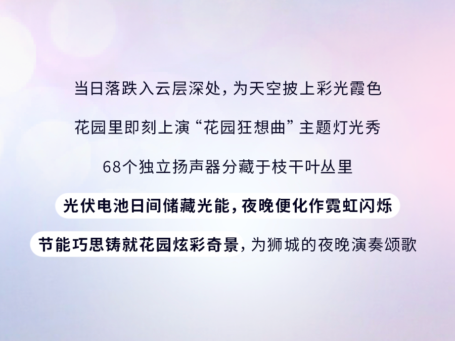 花穹、超级树、云雾林，滨海湾花园里有这么多秘密
