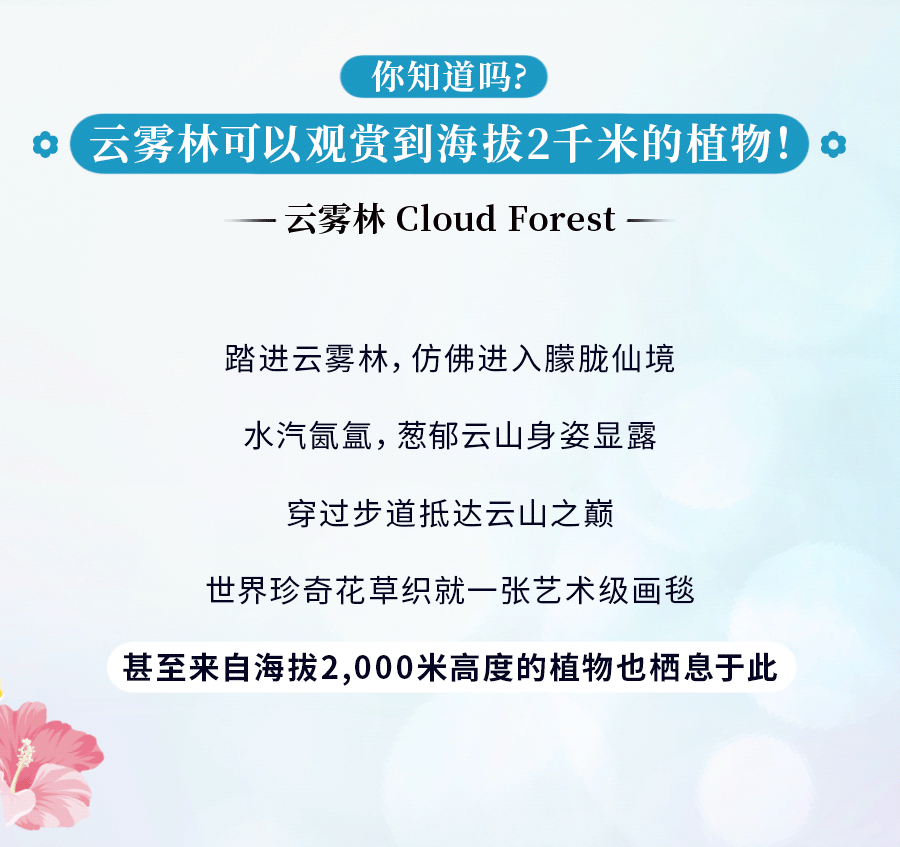 花穹、超级树、云雾林，滨海湾花园里有这么多秘密