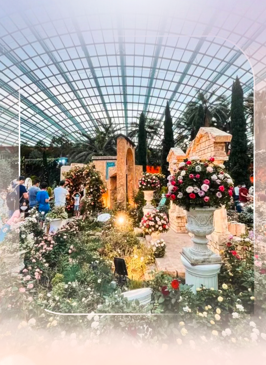 花穹、超级树、云雾林，滨海湾花园里有这么多秘密