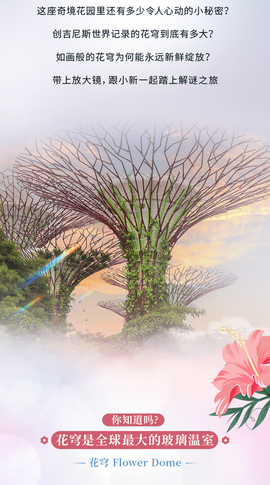 花穹、超级树、云雾林，滨海湾花园里有这么多秘密