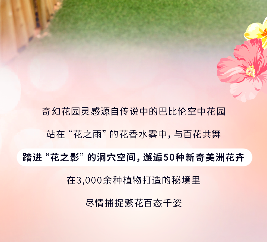 花穹、超级树、云雾林，滨海湾花园里有这么多秘密